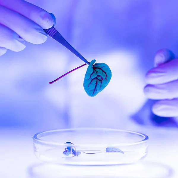 Bosker Medico Services - Clinical Research and SMO Experts