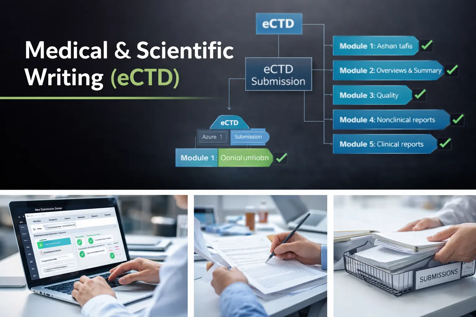Regulatory Medical Writing eCTD Modules 2.4 to 2.7 preparation