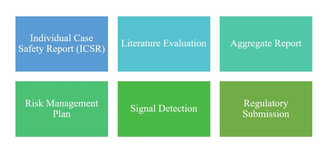 Bosker Medico Drug Safety Capability Matrix